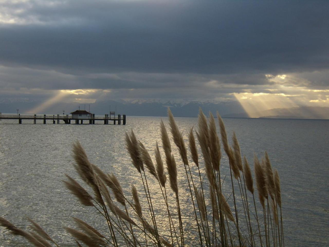 Strandhaus Eberle Immenstaad am Bodensee Exteriör bild